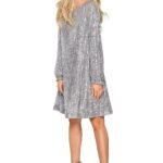 Robe De Soiree A Paillettes Argentee Manche Longue