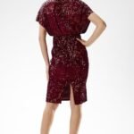Robe Fourreau Paillette Courte 5