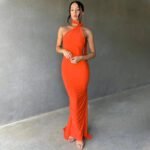 Robe Longue Dos Nu Chic 4