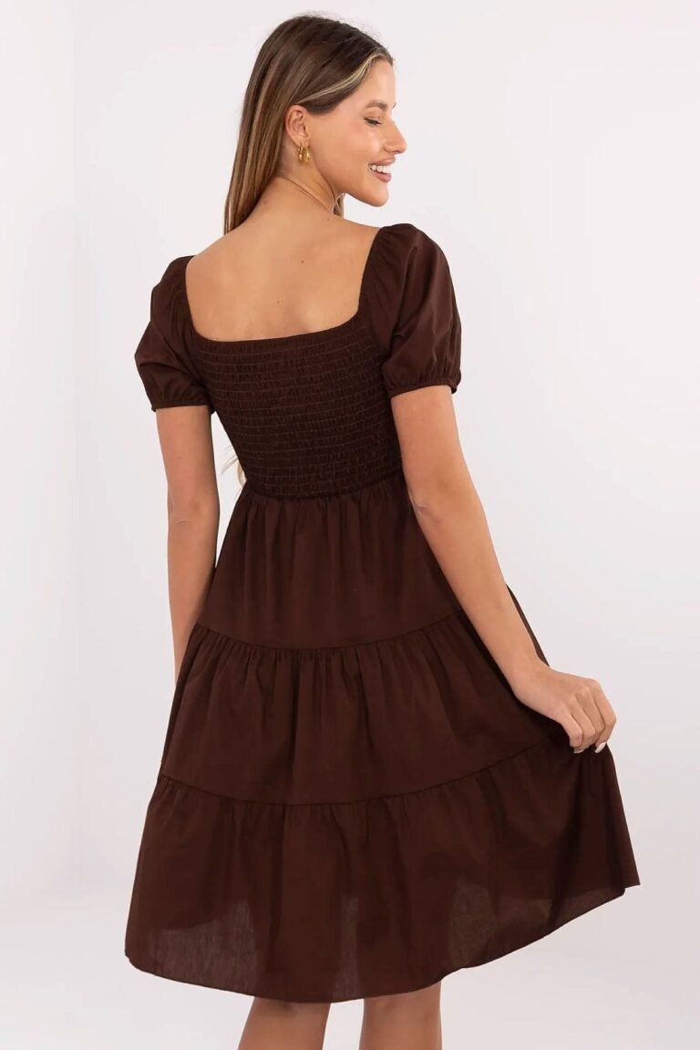Robe Marron Trapeze Courte Manches Courtes 2